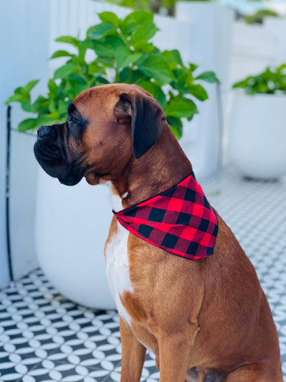 Classic Bandana