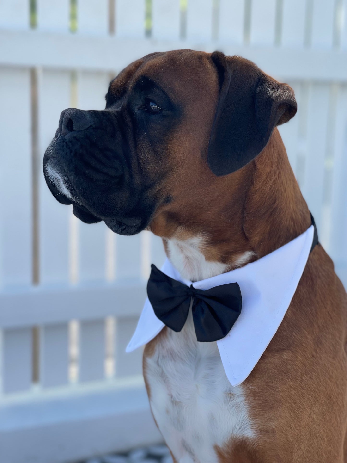 Tuxedo Tie