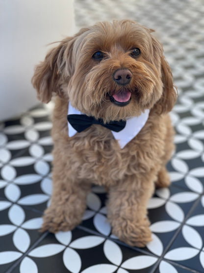 Tuxedo Tie