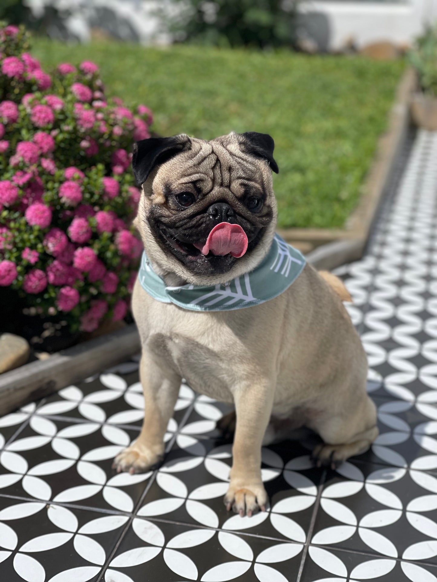 Bib Bandana